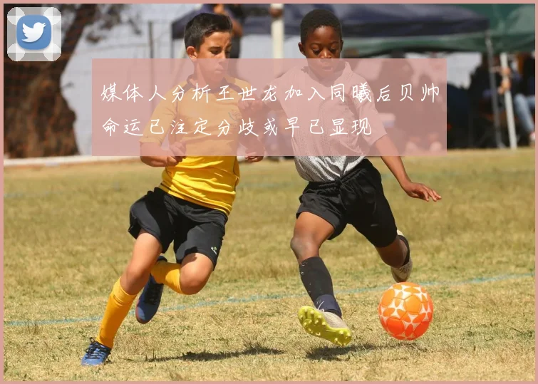 媒体人分析王世龙加入同曦后贝帅命运已注定分歧或早已显现