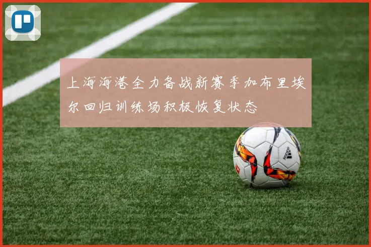 上海海港全力备战新赛季加布里埃尔回归训练场积极恢复状态