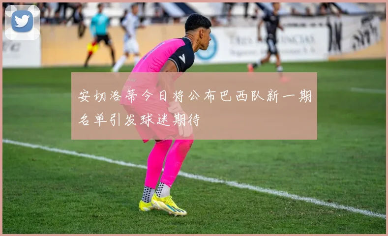 安切洛蒂今日将公布巴西队新一期名单引发球迷期待