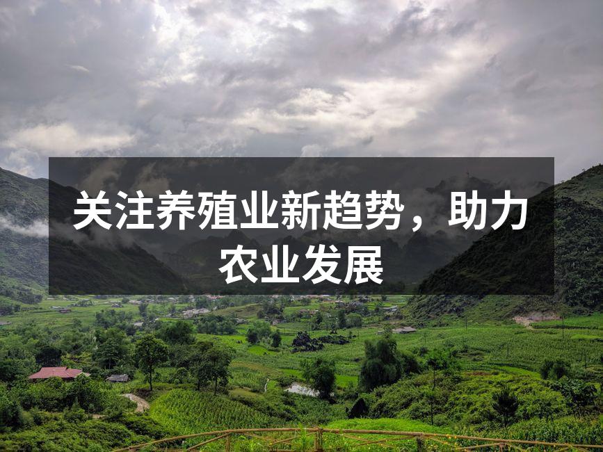关注养殖业新趋势，助力农业发展